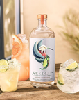 Seedlip Notas de Agave